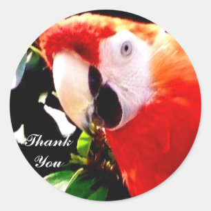 Sticker Rond Sticker_Merci