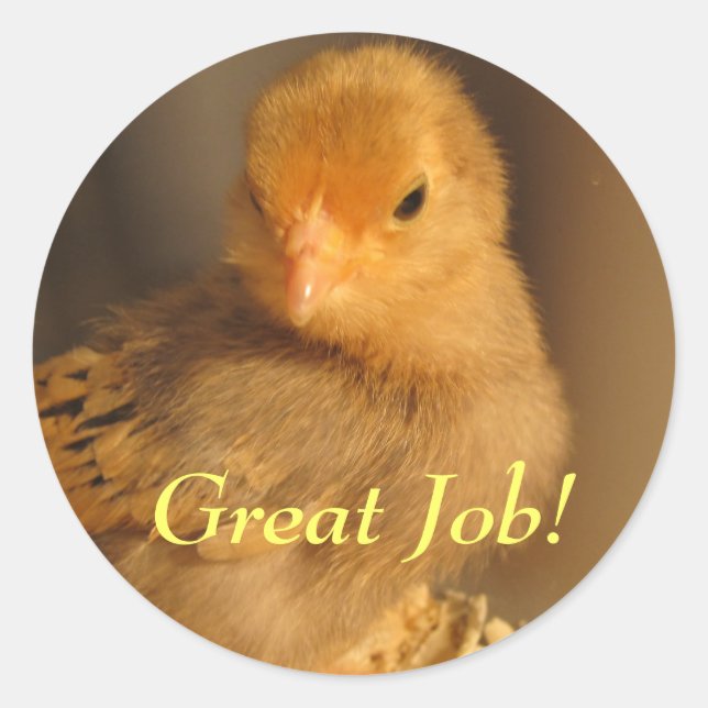 Sticker Rond Stickers—Chick orange (Devant)