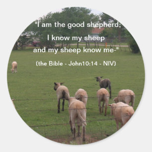 Sticker Rond Stickers/Moutons