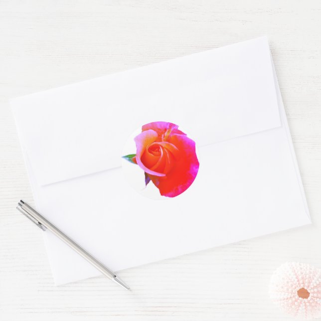 Sticker Rond Stimulateurs rose orange (Enveloppe)