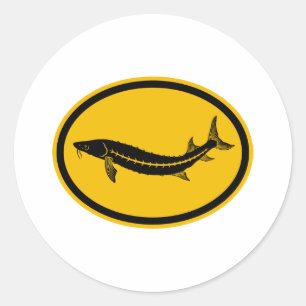 Sticker Rond Sturgeon
