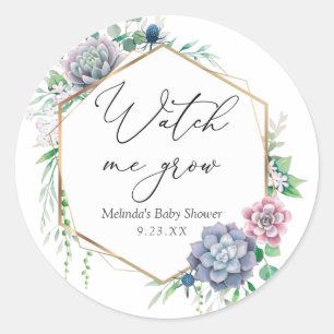 Sticker Rond Succulent Regardez-moi Croire Plante Favoriser