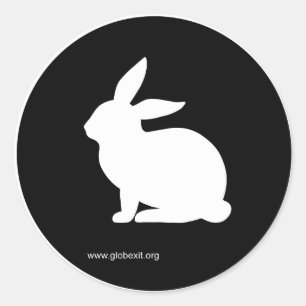 STICKER ROND SUIVRE LE RABBIT BLANC