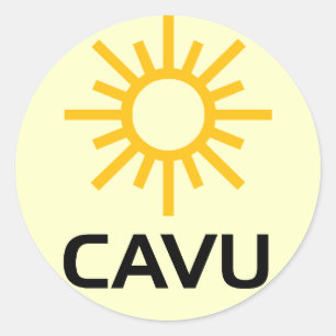 Sticker Rond Sunny Aviation Lingo CAVU