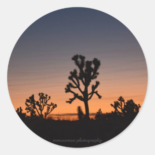 Sticker Rond Sunset Joshua