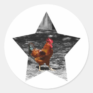Sticker Rond Super étoile poulet
