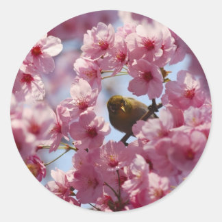 Sticker Rond surprise !