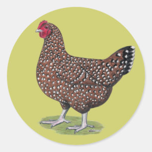 Sticker Rond Sussex : Hen Speckled