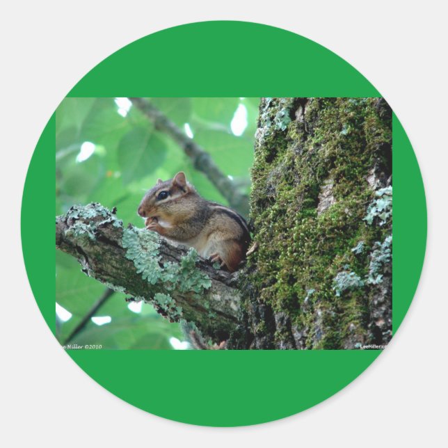 Sticker Rond Sweet Chipmunk dans un arbre Vêtements et cadeaux (Devant)