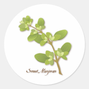 Sticker rond Sweet Marjoram