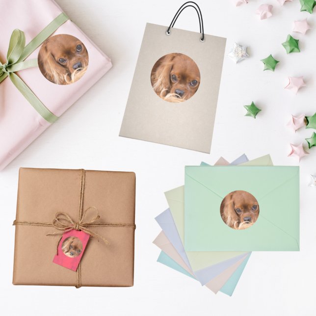 Sticker Rond Sweet Ruby Cavalier King Charles Spaniel (Créateur téléchargé)