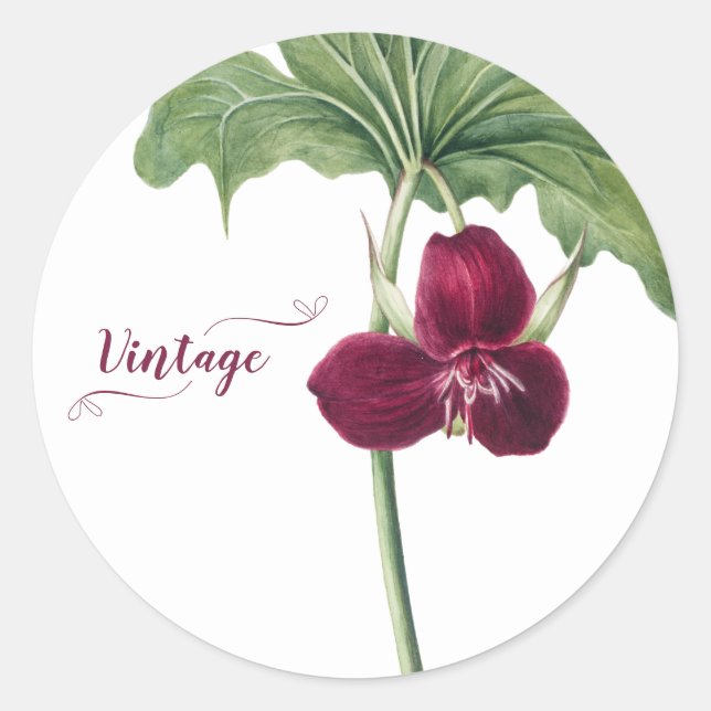 Sticker Rond Sweet Trillium Botanical (Devant)