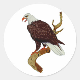Sticker Rond Symbole national américain de l'aigle chauve Force