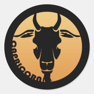 Sticker Rond SYMBOLE Zodiaque Capricorne