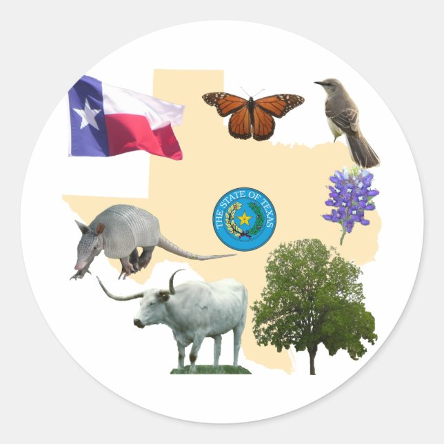 Sticker Rond Symboles d'état du Texas (Devant)