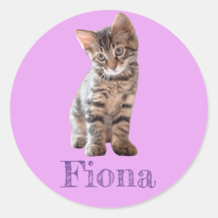 Sticker Rond Tabby Cat Kitten Lavande personnalisée