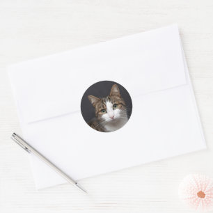 Sticker Rond Tabby Chat avec yeux verts contre Arrière - plan n