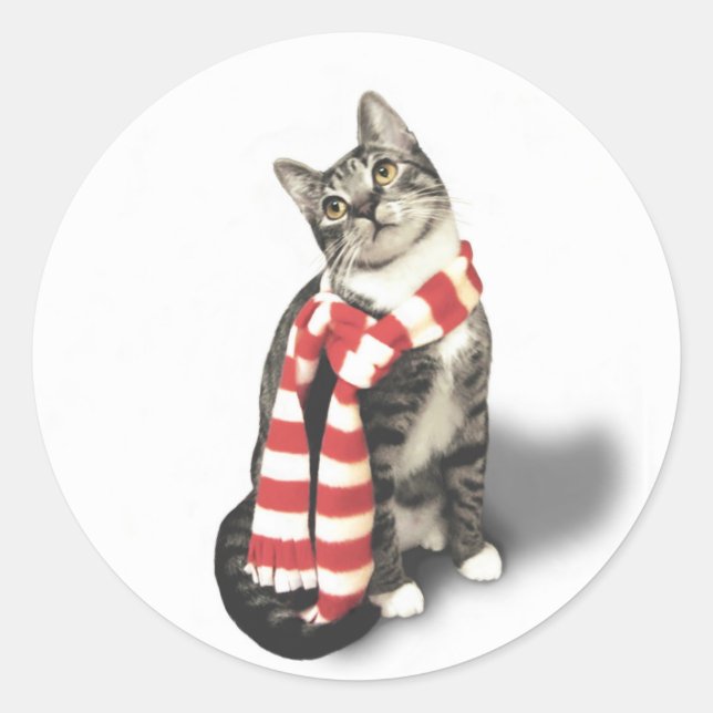 Sticker Rond Tabby Chat Brown dans une écharpe rouge et blanche (Devant)