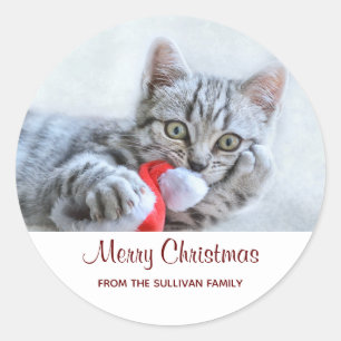 Sticker Rond Tabby gris mou Chat avec Noël Casquette