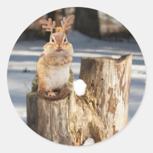 Sticker Rond Tamia adorable de "renne"