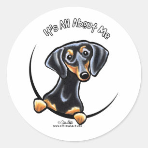 Sticker Rond Tan Noir Dachshund C'Est Tout Sur Moi