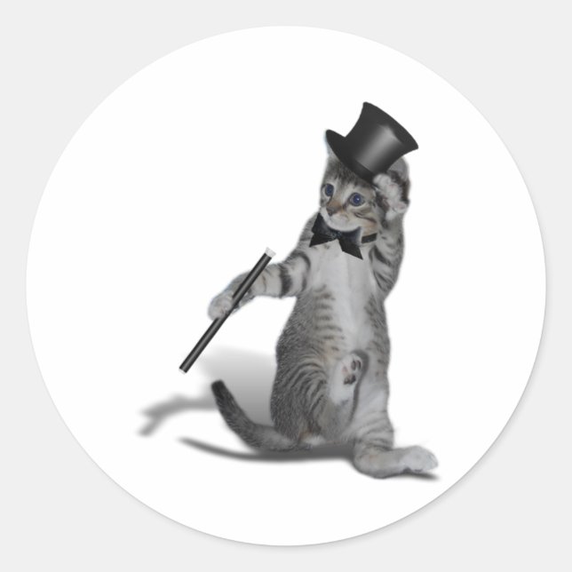 Sticker Rond Tap Chat de danse (Devant)