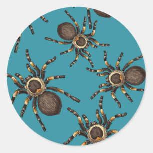 Sticker Rond Tarantula sur bleu
