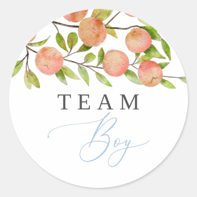 Sticker Rond Team Boy Genre Reveilla Party Vote Peach (Devant)