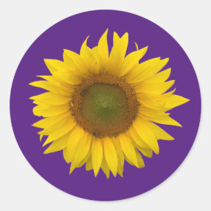 Sticker Rond Tendance Tournesol mou Floral pourpre