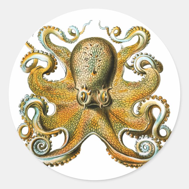 Sticker Rond Tentacles Vintages de dessin de pieuvre (Devant)