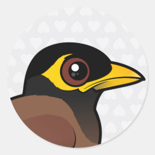 Sticker Rond Terrain communal Myna de Birdorable