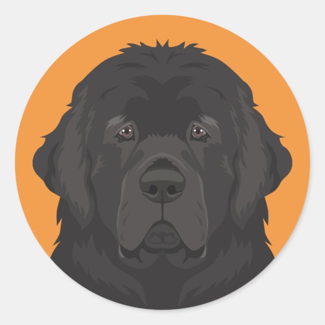 Sticker Rond Terre (Devant)