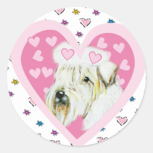 Sticker Rond Terrier Irlandais à poil doux