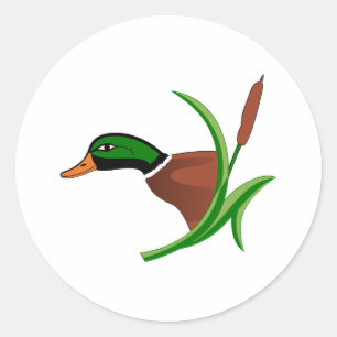 Sticker Rond Tête de Mallard