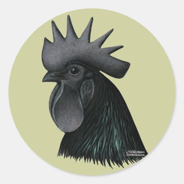 Sticker Rond Tête de Rooster Ayam Cemani (Devant)