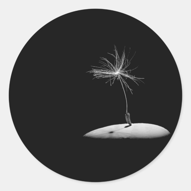 Sticker Rond Tête de semence Dandelion (Devant)