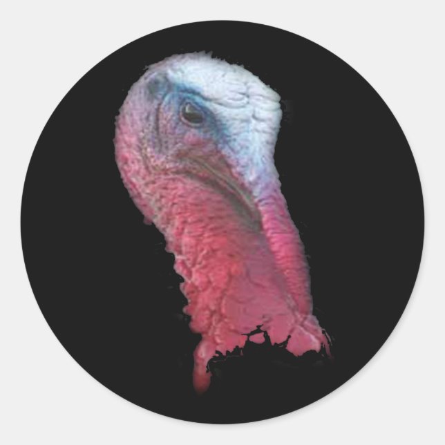 Sticker Rond Tête sauvage de Turquie (Devant)