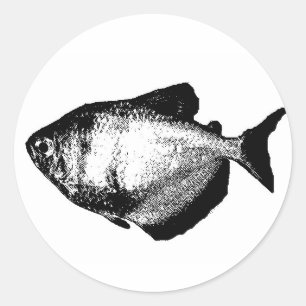 Sticker Rond Tetra jupe noire