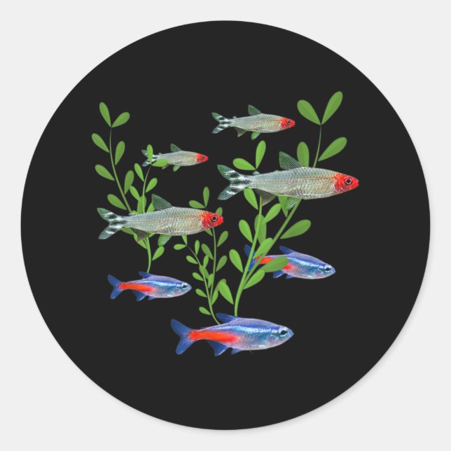 Sticker Rond Tetras Aquarium Neon Tetras Rummy Nez Tetras Poiss (Devant)