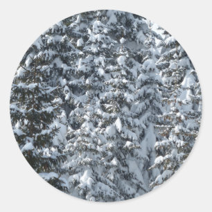 Sticker Rond Texture de l'arbre à neige