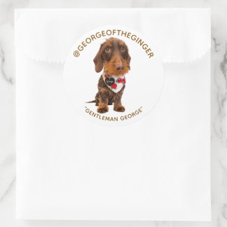 Sticker Rond The George | Modern Pet Influencer Custom Photo 3"