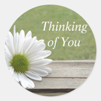 Sticker Rond Thème Daisy