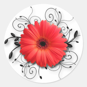 Sticker Rond Thème de marguerite de Gerbera
