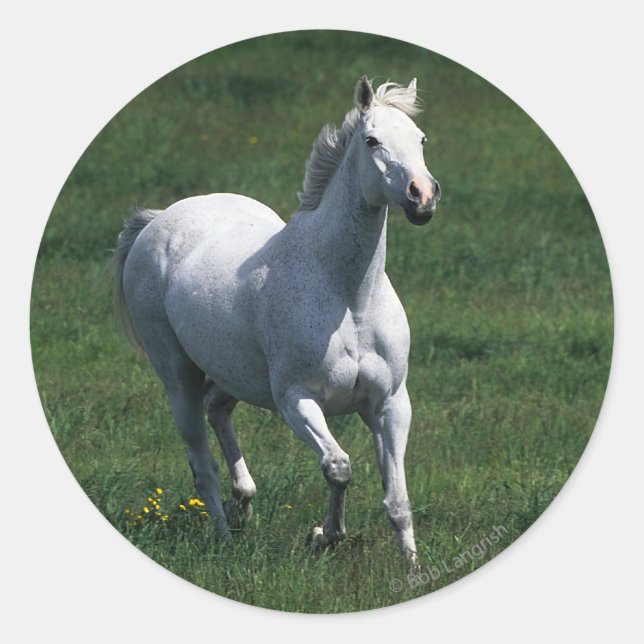 Sticker Rond Thoroughbred Mare (Devant)