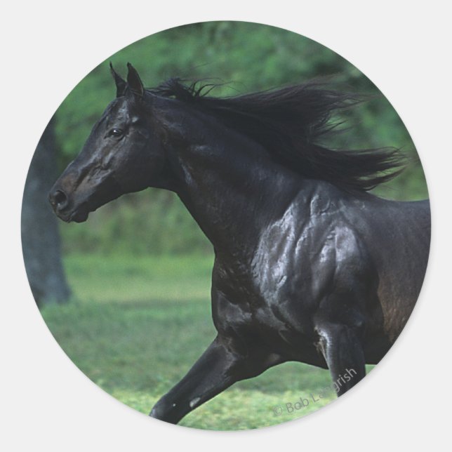 Sticker Rond Thoroughbred Running (Devant)