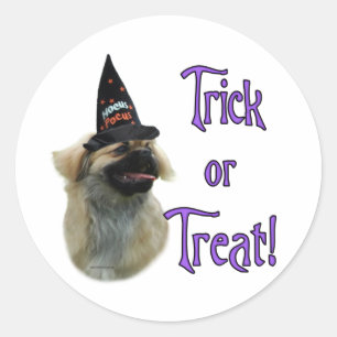 Sticker Rond Tibétain Spaniel Trick