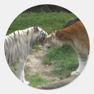 Sticker Rond Tiger Love