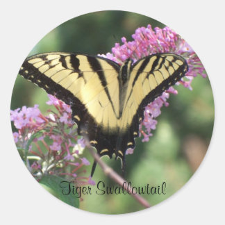 Sticker Rond Tiger Swallowtail