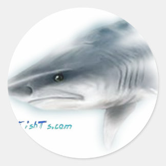 Sticker Rond Tiger Tiger Shark Head