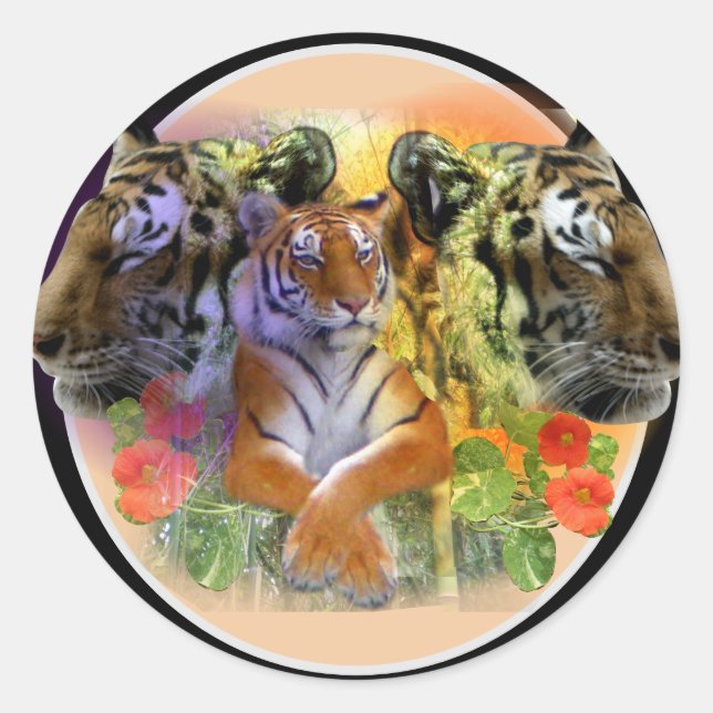 Sticker Rond Tigre au zoo Henry Doorly (Devant)
